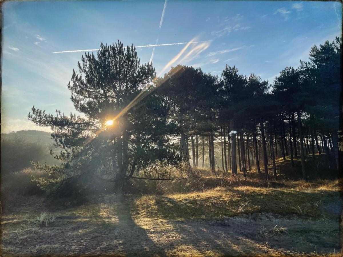 Heerlijk Huisje In Bergen Buitenkant foto